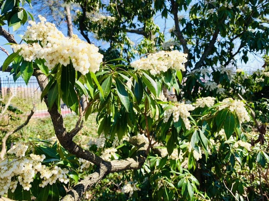 IMG_5654.jpg?type=w966