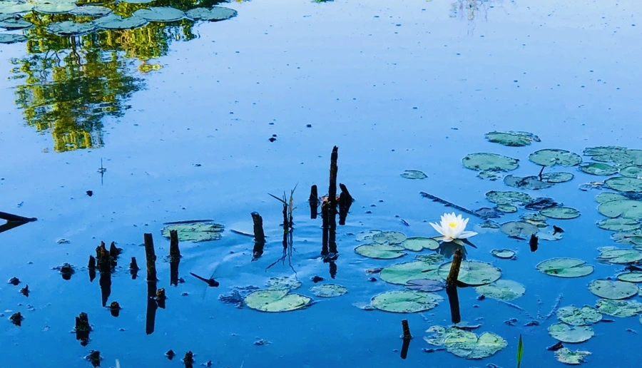 IMG_3860.jpg?type=w966