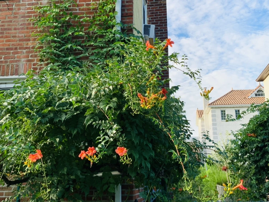 IMG_7031.jpg?type=w966