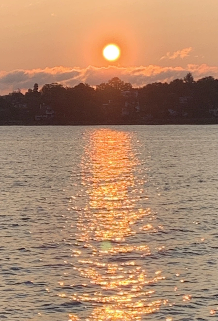 IMG_5500.jpg?type=w966