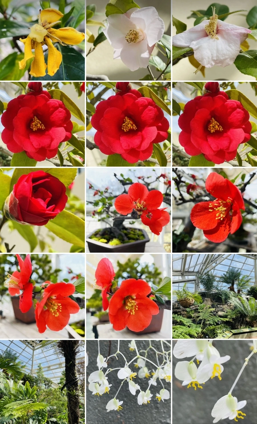 IMG_5410.jpg?type=w966