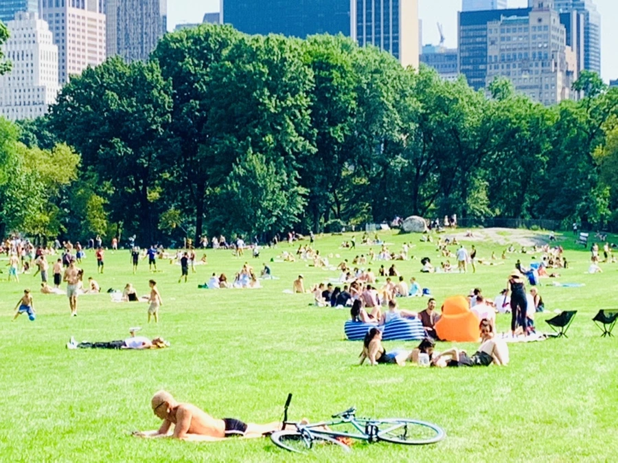 IMG_0612.jpg?type=w966