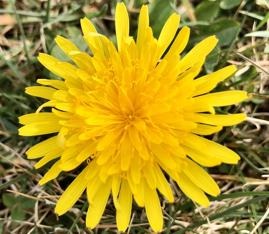 IMG_6022.jpg?type=w966