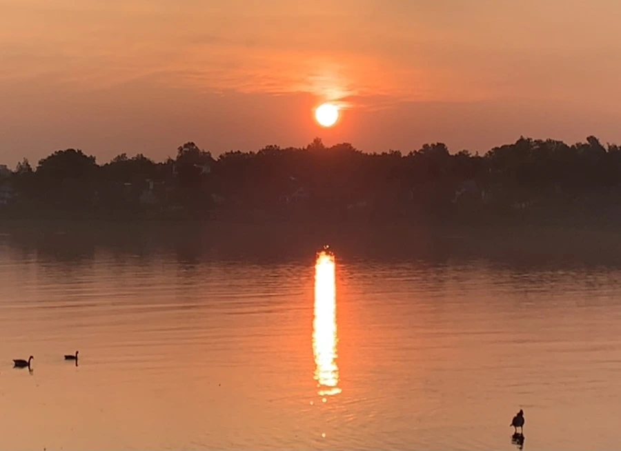 IMG_1383.jpg?type=w966