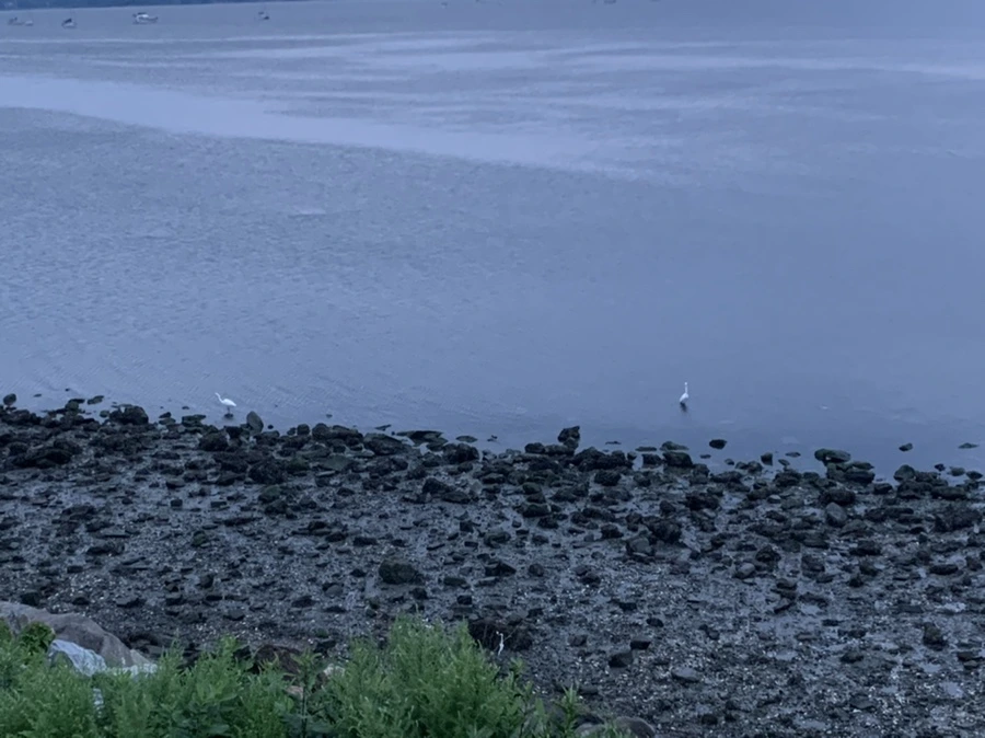 IMG_0681.jpg?type=w966