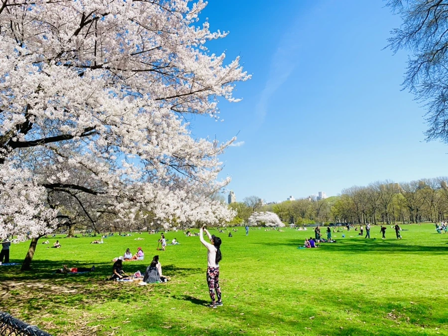 IMG_8920.jpg?type=w966