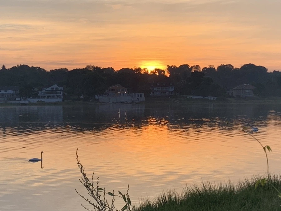 IMG_6823.jpg?type=w966