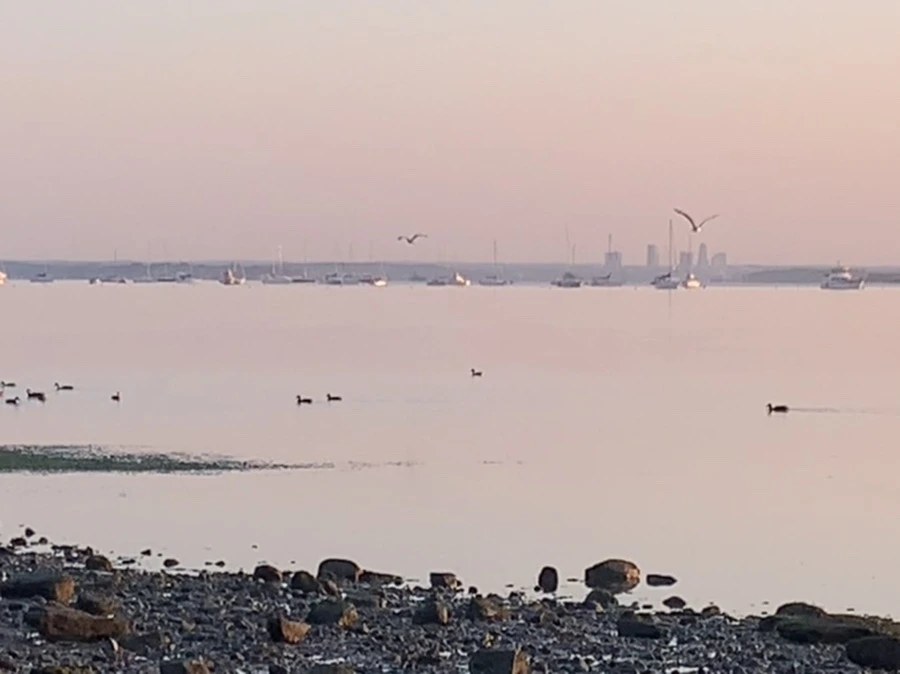 IMG_0207.jpg?type=w966