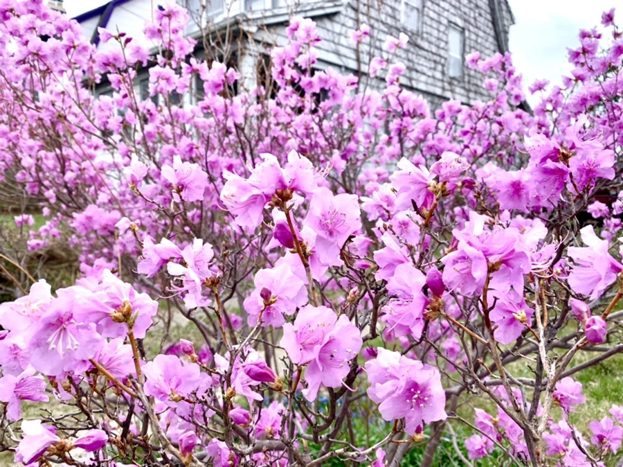 IMG_6748.jpg?type=w966