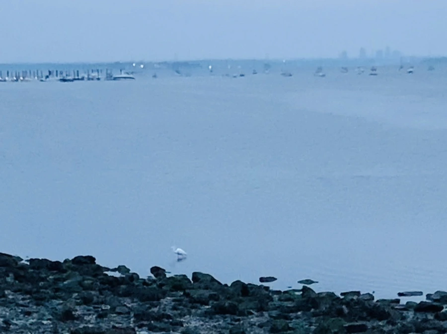 IMG_0697.jpg?type=w966