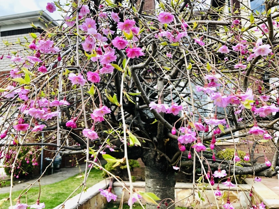 IMG_6949.jpg?type=w966