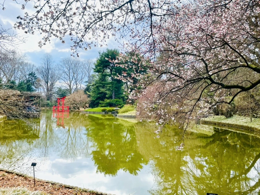 IMG_7494.jpg?type=w966