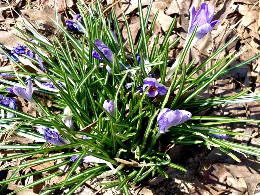 IMG_1443.jpg?type=w966