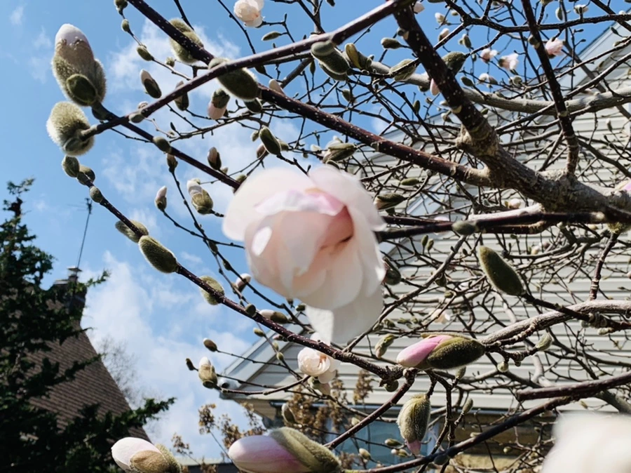 IMG_4355.jpg?type=w966