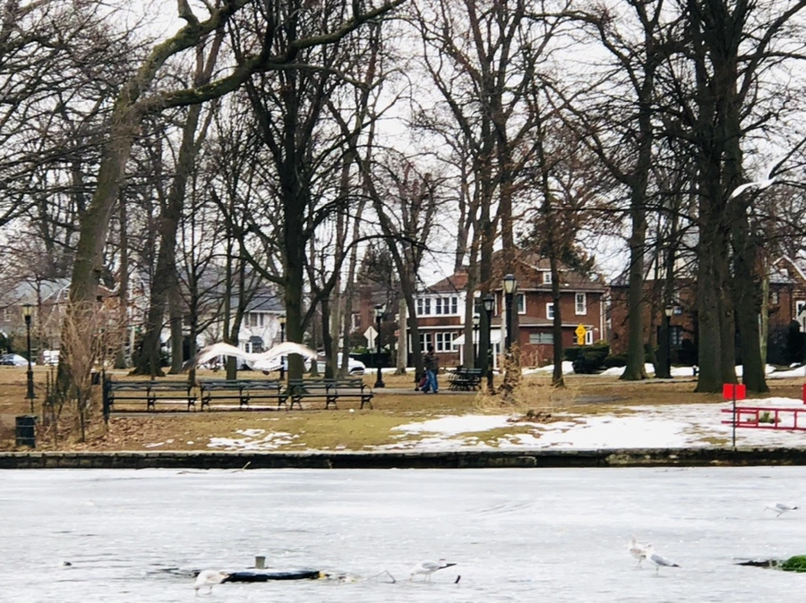 IMG_5932.jpg?type=w966