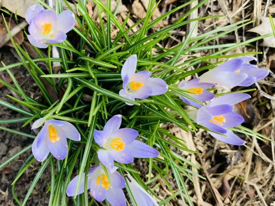 IMG_0552.jpg?type=w966