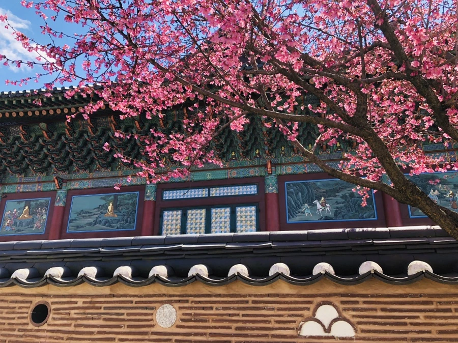 IMG_2165.jpg?type=w966