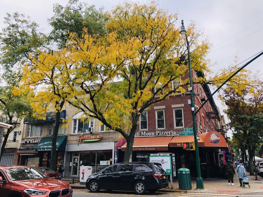 IMG_2299.jpg?type=w966