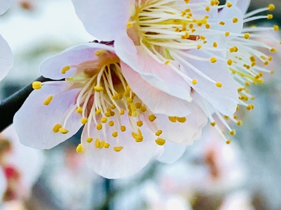 IMG_0895.jpg?type=w966