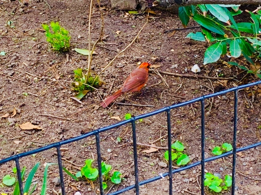 IMG_9502.jpg?type=w966