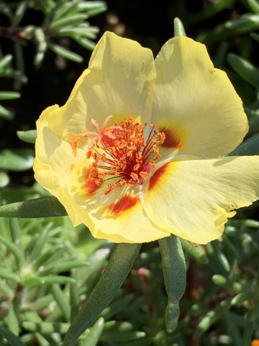 IMG_8383.jpg?type=w966