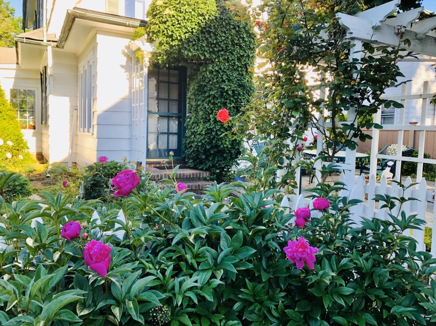 IMG_7700.jpg?type=w966