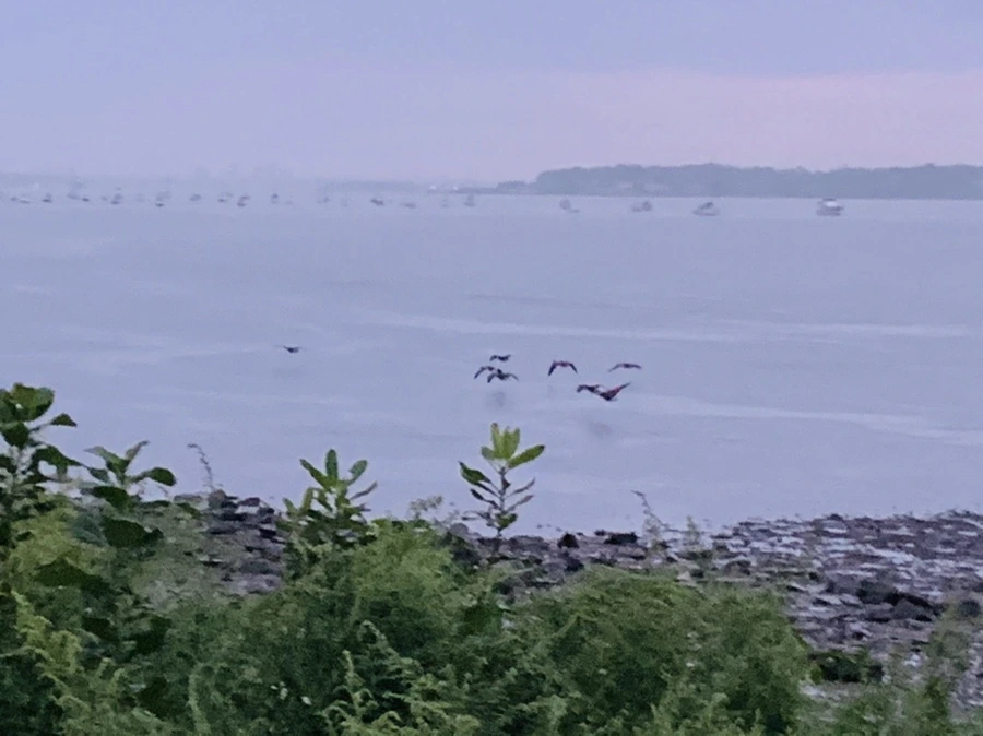 IMG_9269.jpg?type=w966