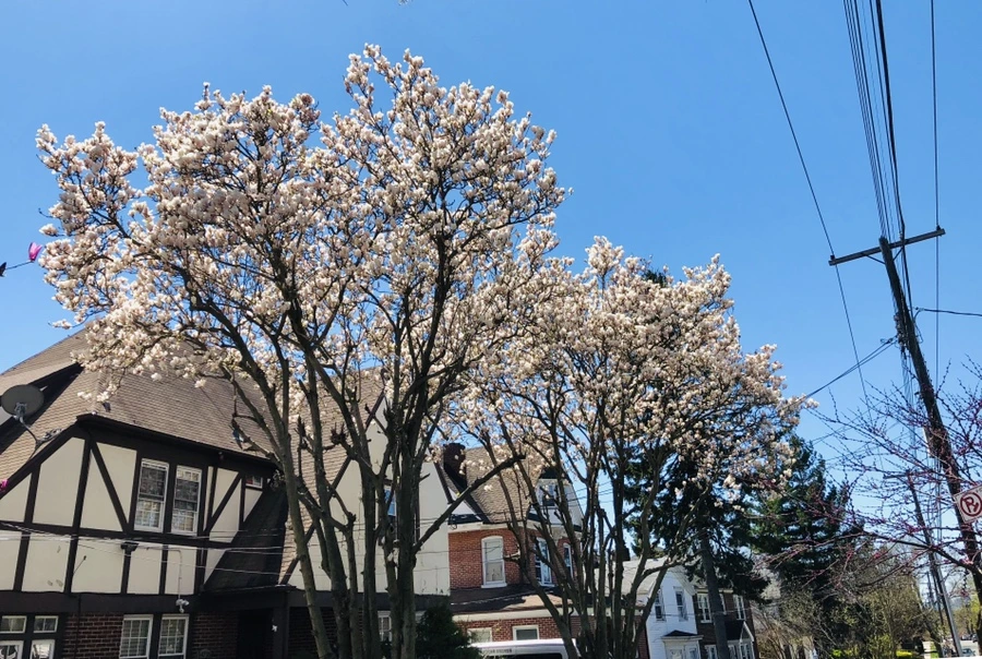 IMG_3024.jpg?type=w966