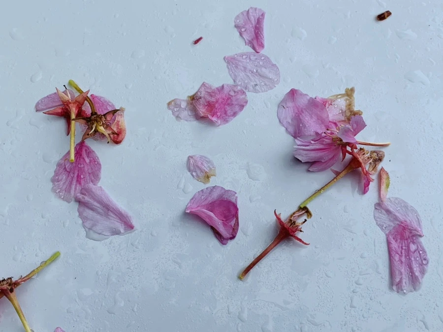 IMG_9467.jpg?type=w966