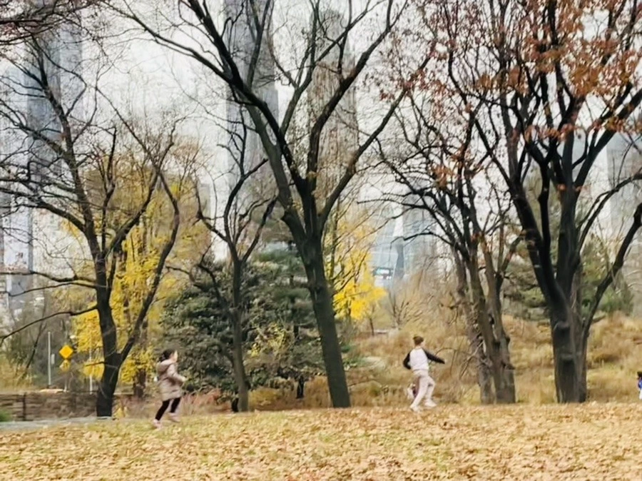 K4t50xaSoG-8r53ElmsMC78xUf0