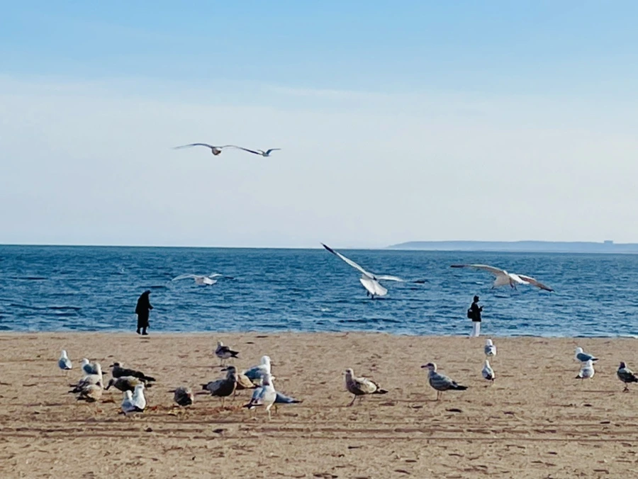 IMG_5043.jpg?type=w966