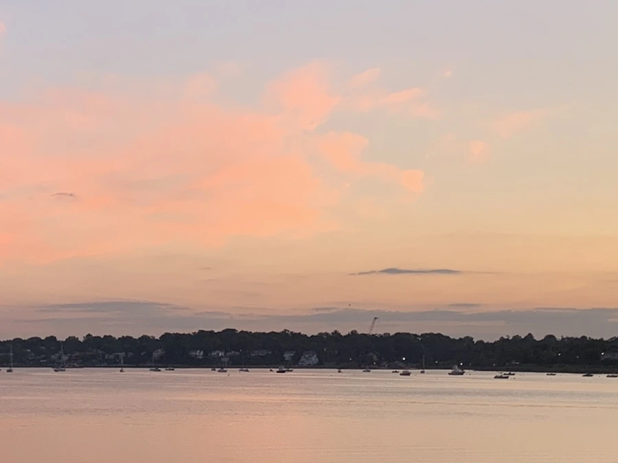 IMG_8743.jpg?type=w966