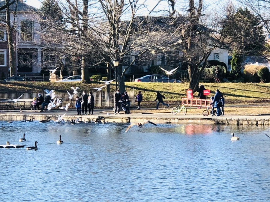 IMG_9253.jpg?type=w966