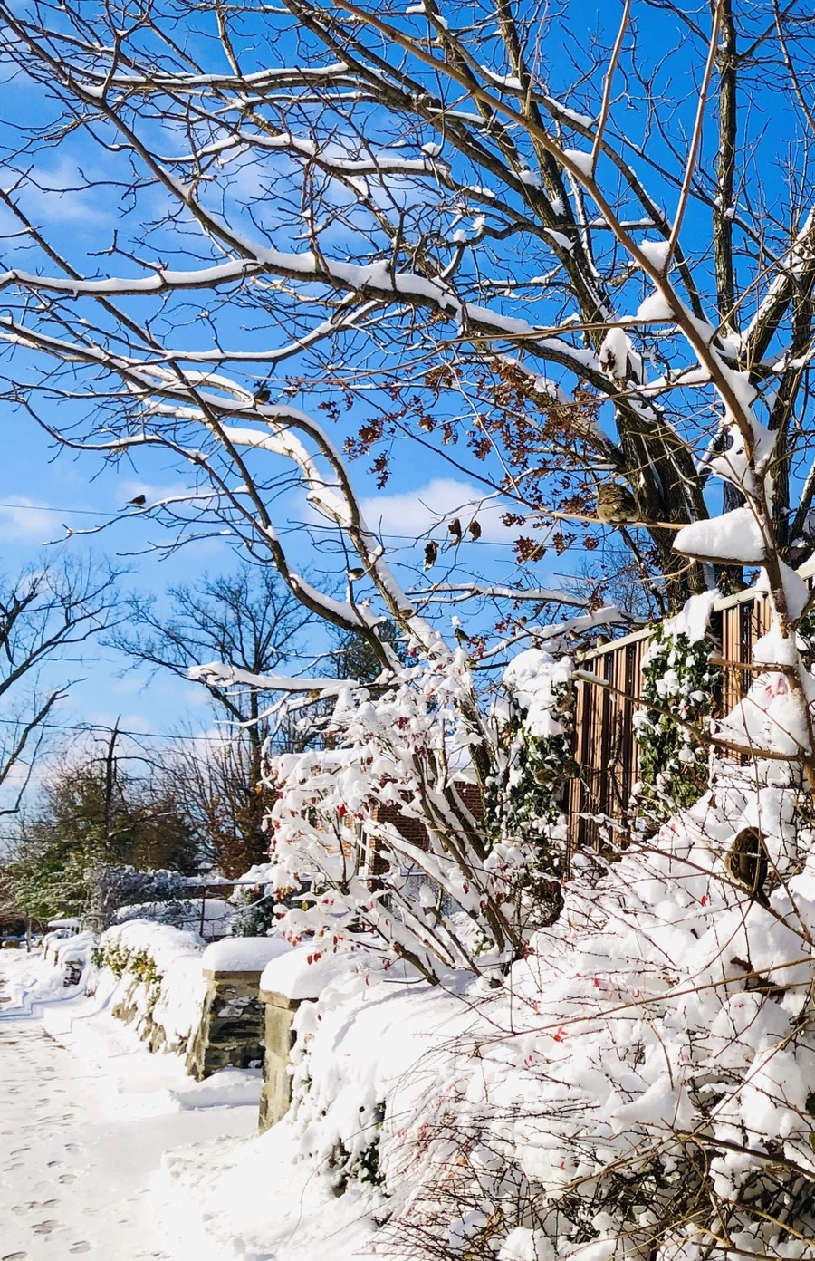 IMG_6970.jpg?type=w966