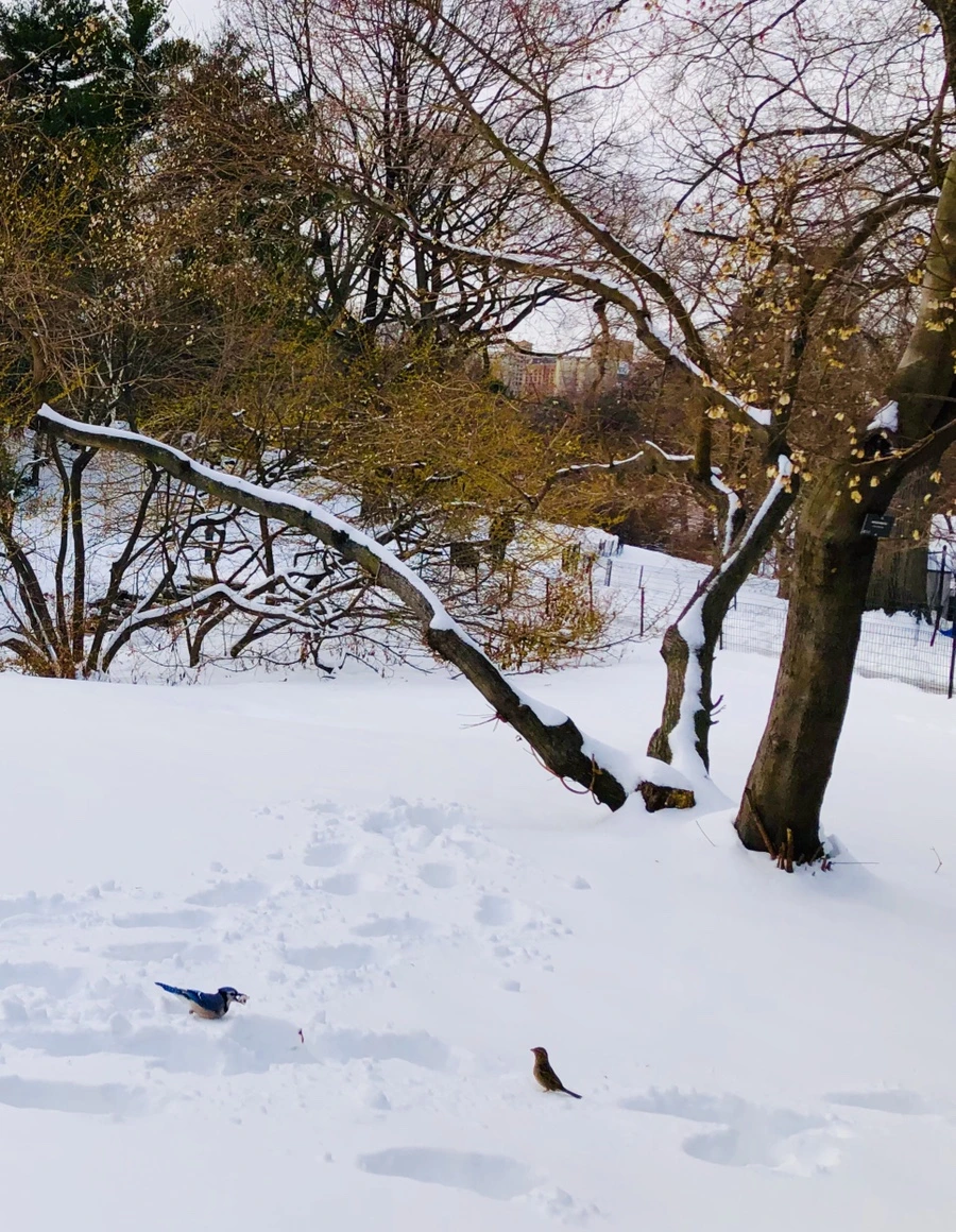 IMG_7342.jpg?type=w966