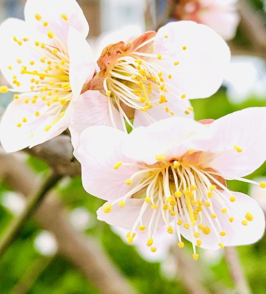 IMG_1693.jpg?type=w966