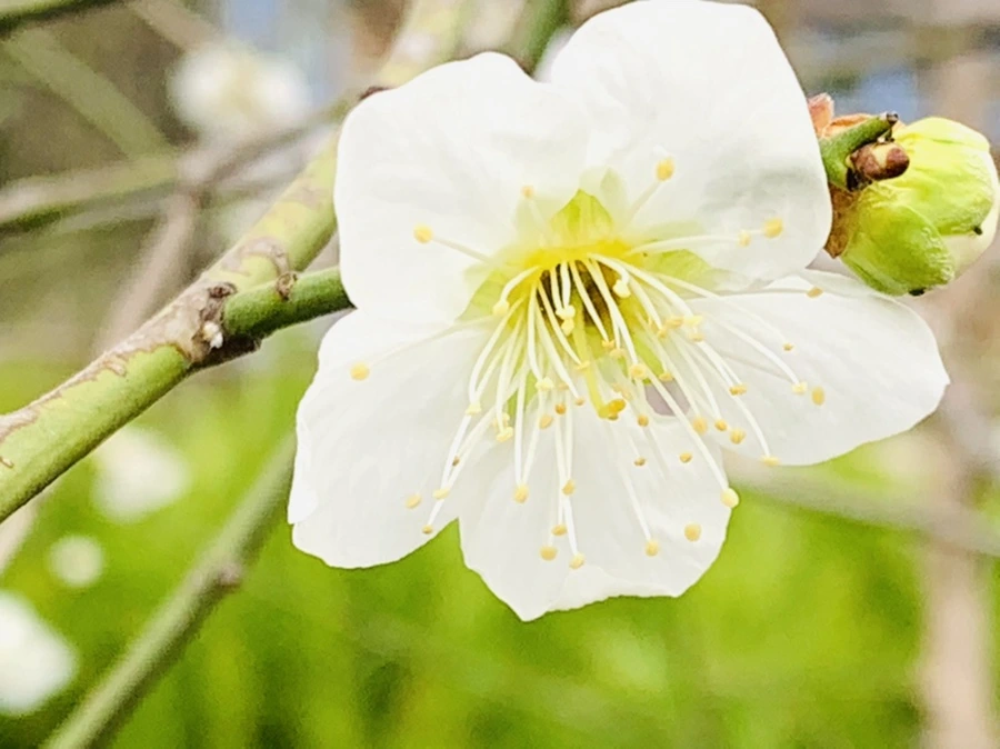 IMG_3671.jpg?type=w966