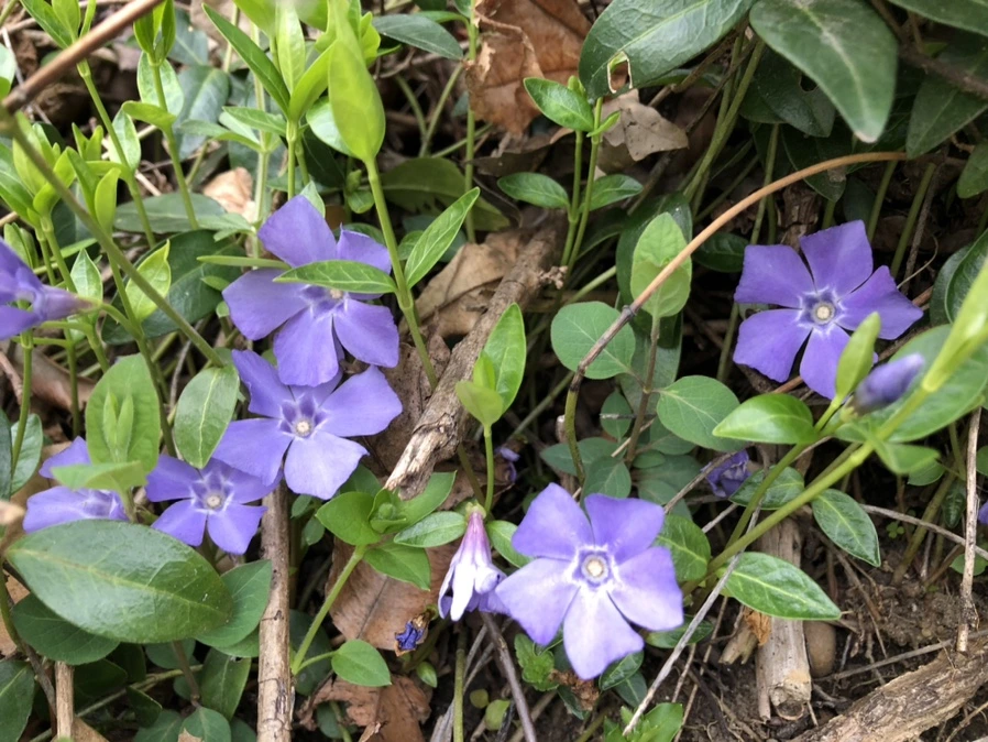 IMG_6345.jpg?type=w966