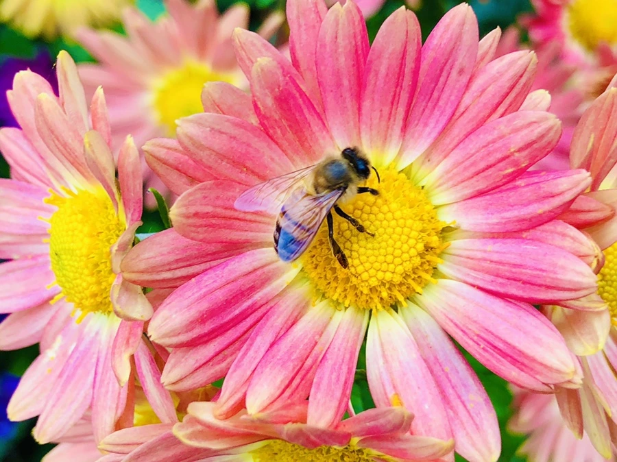 IMG_2661.jpg?type=w966