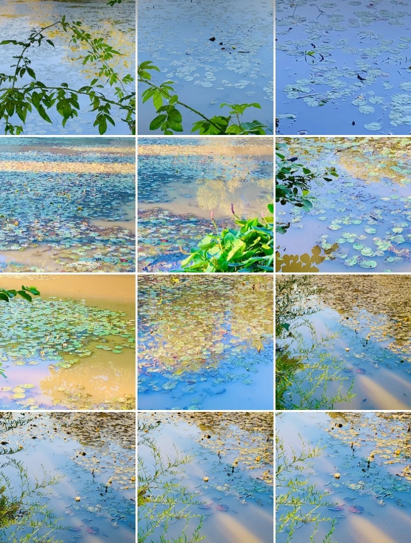 IMG_7213.jpg?type=w966