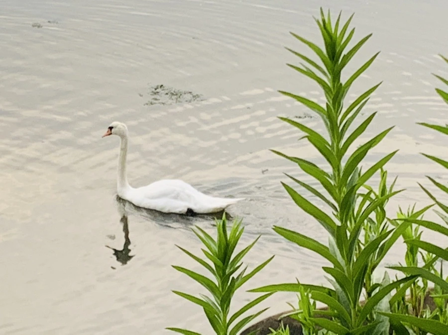 IMG_6407.jpg?type=w966