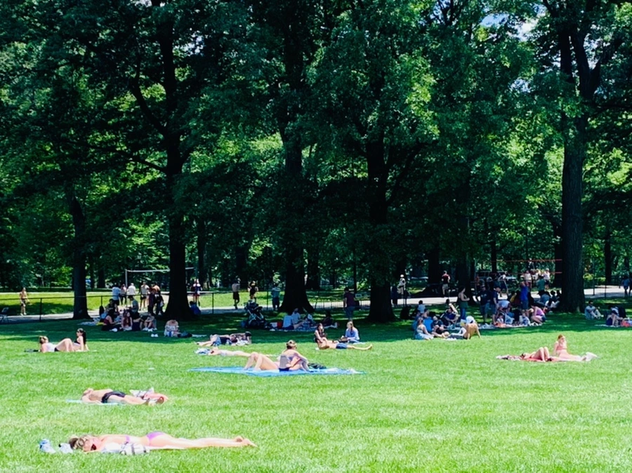 IMG_5378.jpg?type=w966