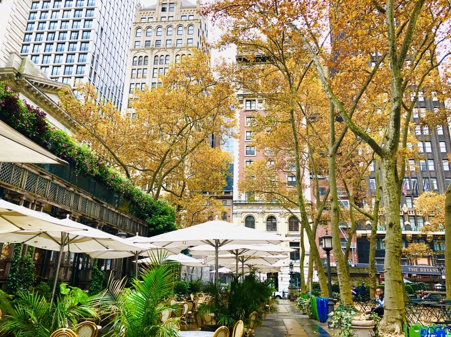 IMG_4403.jpg?type=w966