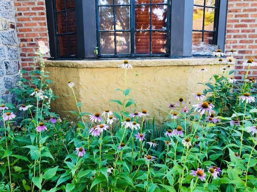 IMG_2783.jpg?type=w966