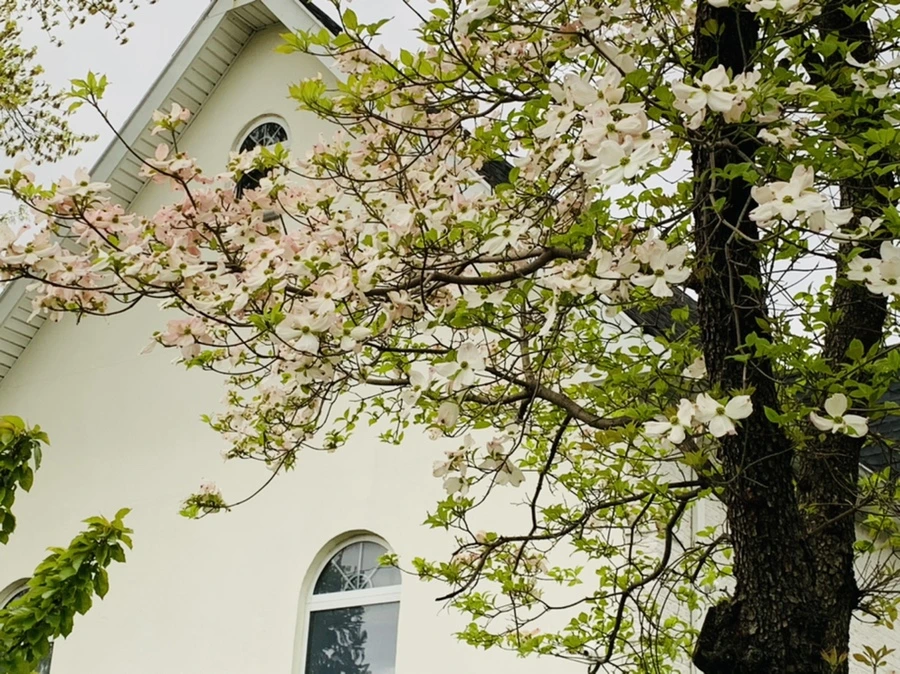 IMG_8128.jpg?type=w966