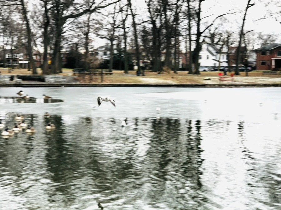 IMG_6412.jpg?type=w966