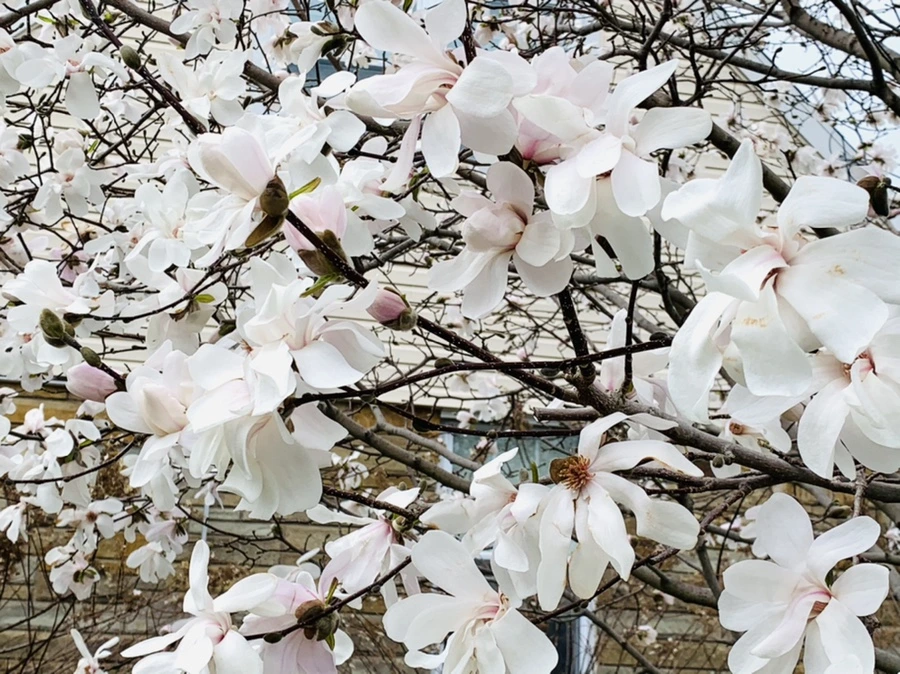 IMG_5927.jpg?type=w966