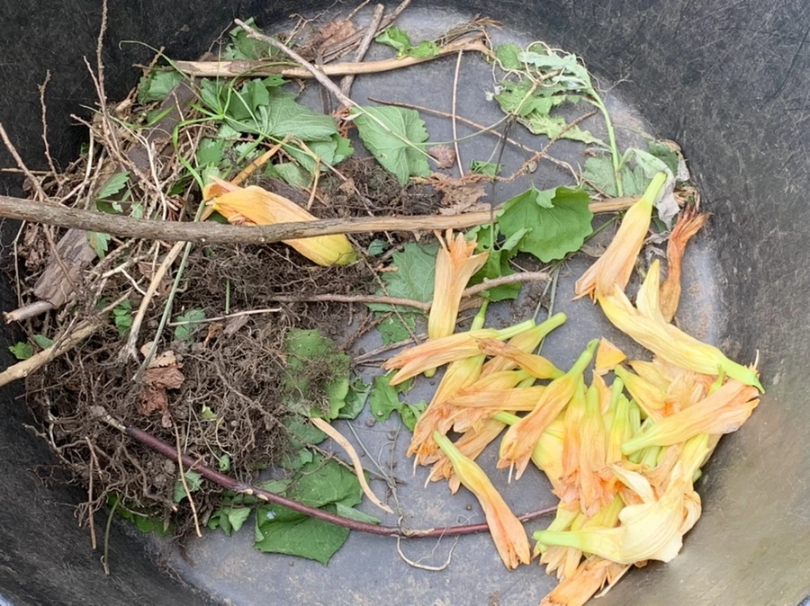 IMG_2593.jpg?type=w966