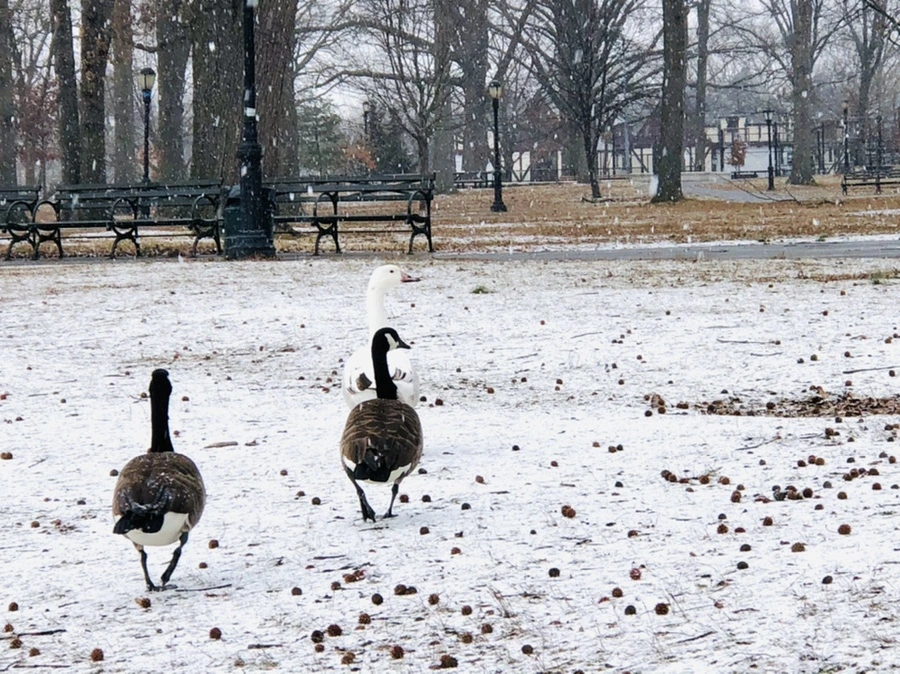 IMG_5926.jpg?type=w966