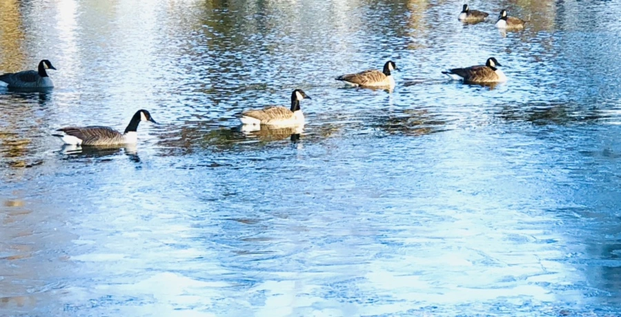 IMG_1401.jpg?type=w966